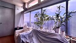 The Plaza (D7), Apartment #566525451